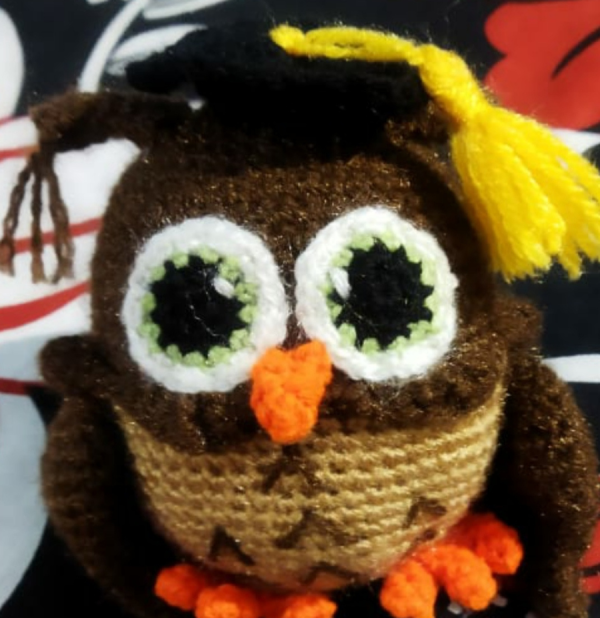 Owl with graduation cap