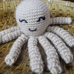 Baby Octopus