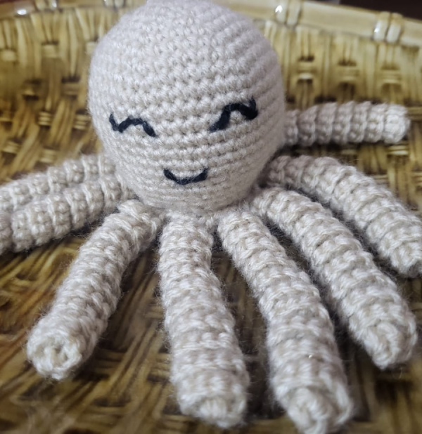 Baby Octopus