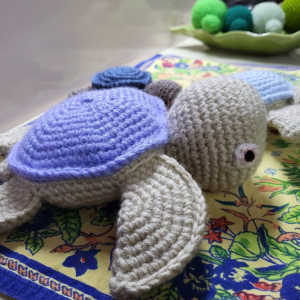 Fred the sea turtle