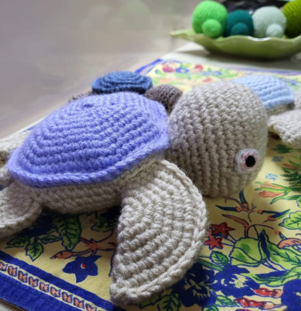 Fred the sea turtle