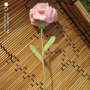 Handcrafted Carnation Flowers