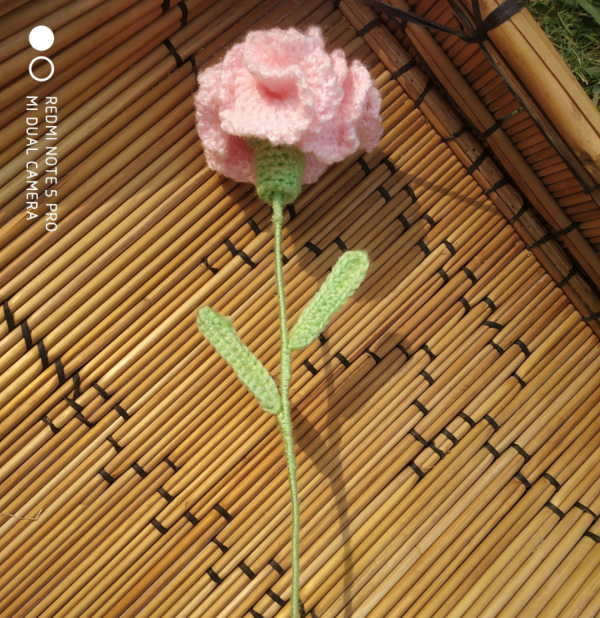 Handcrafted Carnation Flowers