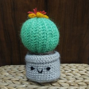 mini crochet cactus pot