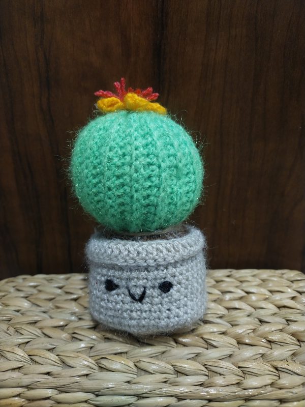 mini crochet cactus pot